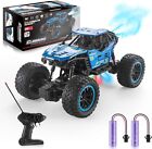 RC Off Road Truck with 2.4 GHz,with light effects,with a mist sprayer,Age 4-12