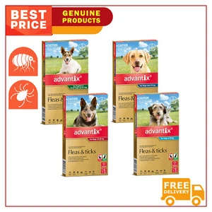 ADVANTIX for Dogs All Sizes Flea and Tick Treatment 6 Pipettes - Picture 1 of 6