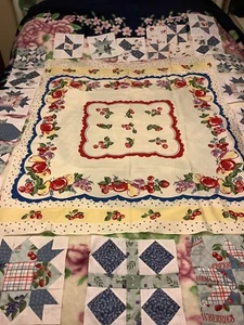 Quilt Blocks With Fruit Various Sizes 12.5”/12.5” Down To 6” - Picture 1 of 9