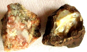 Coprolite - Rough - Dinosaur Poo - Dino Dung - Utah - 242 grams - Lot of 2 - Picture 1 of 3