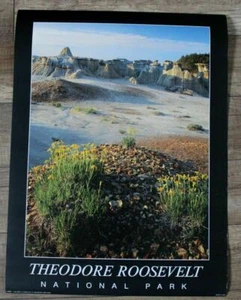 Theodore Roosevelt 1992 National Park Badlands Desert Larry Ulrich Poster VF - Picture 1 of 1