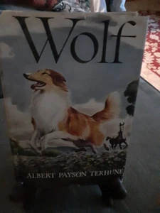 Wolf by Albert Payson Terhune / 1925 Vintage Hardcover HCDJ 1st Edition Book - Foto 1 di 8