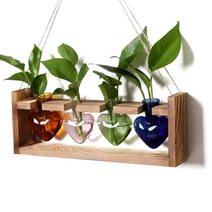 Stazioni di Propagazione Piante Cuore Pianta Terrario Kit Regalo per Donna Pianta Lov... - Foto 1 di 6
