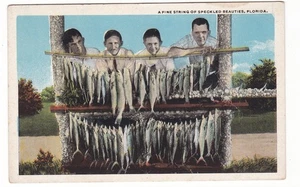 alte Postkarte / Florida / feine Fischschnur mit Jungen - Bild 1 von 2
