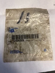 Genuine GM Parts 12596509 Engine Valve Lash Cap (NOS) - Picture 1 of 3