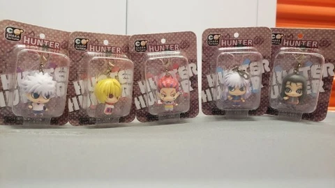 CHARA FORTUNE Plus Series - Hunter x Hunter: Can You Become a Hunter? Fortunes Cover