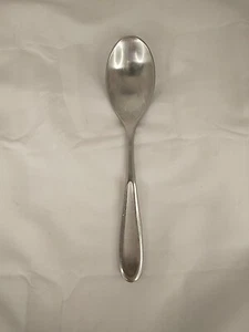 Single Retroneu Tivoli  Contour Satin 18/10 Stainless 7.75 Spoon China - Picture 1 of 7