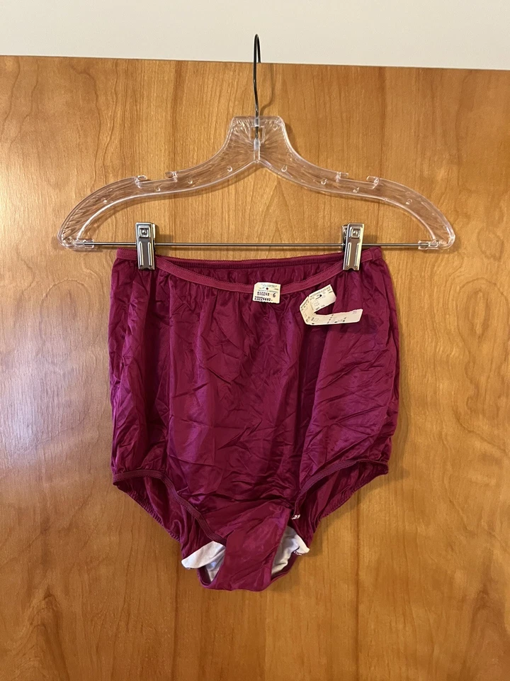 Bragas Calzoncillos Vassarette Quintessence Nylon Antrón De Colección Nuevas con Etiquetas Talla 6 Foto 1 de 4