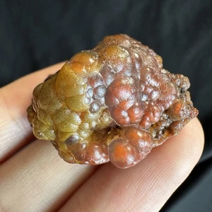 Ágata caramelo botrioidal natural del desierto Alxa Gobi de 3,4 cm-14 g, cristal curativo #3204 - Imagen 1 de 11