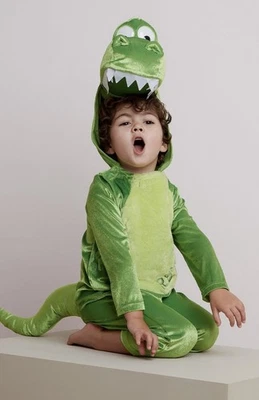 Disney Toy Story REX Fancy Dress Costume / Age 5-6 / Dinosaur / World Book Day - Image 1 of 4