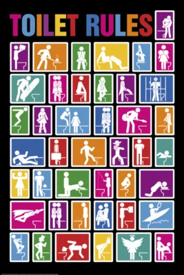 Toilet Rules Funny Cool Wall Decor Poster Quality Choose your Size - Image 1 of 2