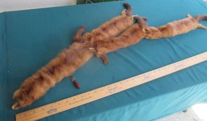 Vintage Real  FOUR  Fox Fur Stole Wrap Collar Scarf Shawl - Picture 1 of 20