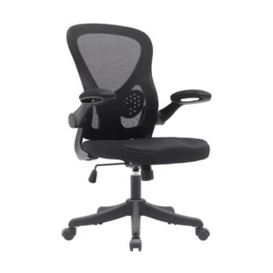 Black Mesh Office Chair with Lumbar Support and Flip-Up Arms,Height Adjustable - Picture 1 of 4