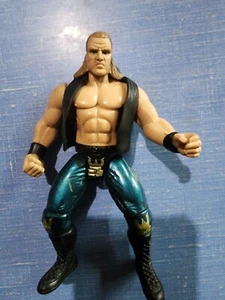 WWF Jakks Triple H Action Figure - Picture 1 of 4