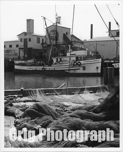 1960er Orig Foto Newport Beach CA Kalifornien Konservenfabrik Lido Isle Bay Hafen MP B - Bild 1 von 1