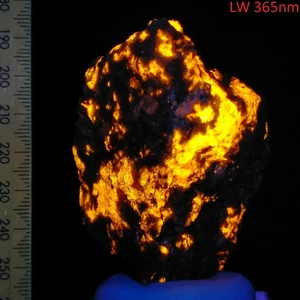 Zircon & Scapolite fluorescent LW & SW mineral specimen Grenville Canada 815ct - Picture 1 of 12