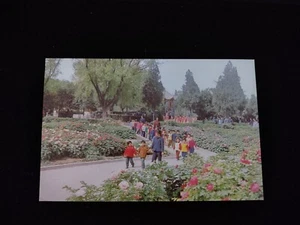 China Postcard - Peony Garden - Picture 1 of 2