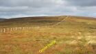 Photo 6X4 Black Law Layer Knowe The Higher Of The Two Just Under 700M Bum C2012
