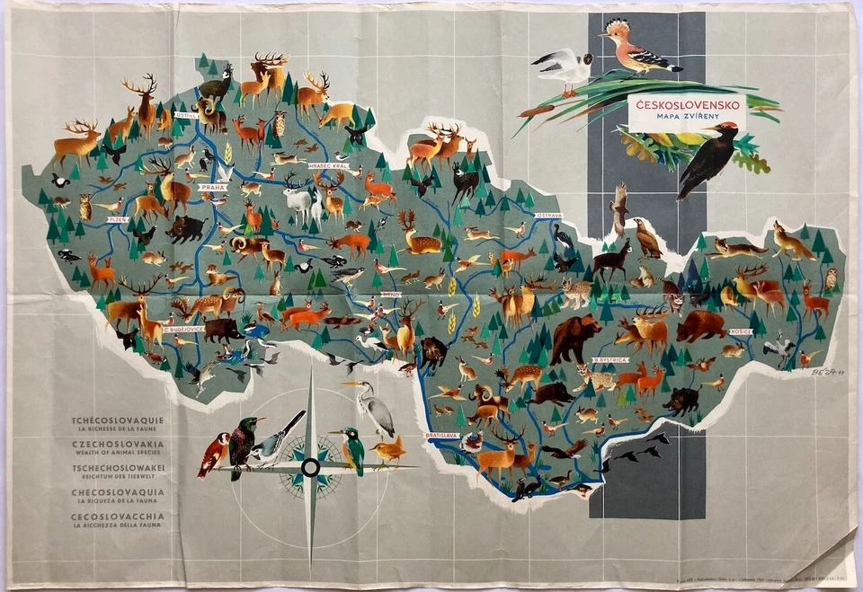 Original Vintage Map J. BEZA - WEALTH OF ANIMAL SPECIES - CZECHOSLOVAKIA - 1964 - Image 1 of 4