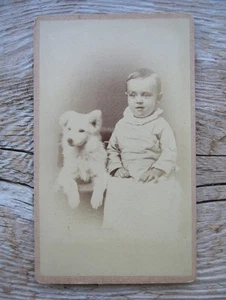 Altes antikes Carte de Visite CDV Foto Junge Kind mit weißem Hund Terrier viktorianisch - Bild 1 von 2