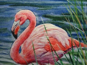 Aquarell Gemälde Flamingo rosa Vogel Natur See Tierwelt Tiere ACEO Kunst - Bild 1 von 2