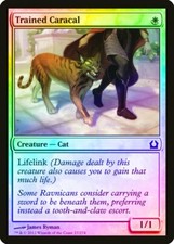 Trained Caracal FOIL Return to Ravnica HEAVILY PLD White Common CARD ABUGames