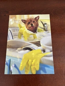 Teacup Terrier Funny Mother’s Day Card by Avanti Press - Picture 1 of 3
