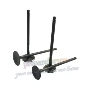 NC250 Intake Exhaust Valves For Zongshen ZS177MM 250cc BSE KAYO Dirt Bike - Bild 1 von 6