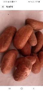 110 BIG BitterKola nuts@£35.00, Free Postage. Arrived Today. So Yummy😋 - Picture 1 of 3
