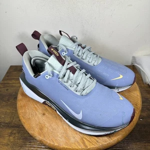 Nike Pegasus Trail 4 Gore Tex Men Running Shoes Waterproof Sz 12 HQ0265 400 - Picture 1 of 9