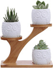 3Pcs Owl Succulent Pots With 3 Tier Bamboo Saucers Stand Holder - White Modern D