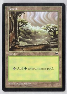 1x Forest #349 - Tempest - Light Play - Bild 1 von 1