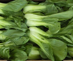 Shanghai Pak Choi tallo verde - col china - más de 50 semillas - semillas - semillas - B 114 - Imagen 1 de 1