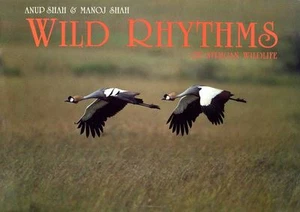 Wild rhythms of african wildlife - Anup Shah & Manoj Shah - (englisch) - Bild 1 von 1