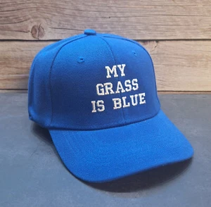 My Grass Is Blue Embroidered Hats (Richardson 112, Flexfit, & YP Snapbacks) - Picture 1 of 8