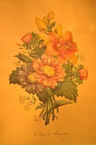 Rare Vintage 1940's 3 Dimensional Floral Prints by I. B. Fischer Co. NYC