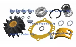 Major Repair Kit ref Sherwood 12252 for pump P10610G P10700G R10955G - Foto 1 di 1