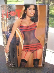 H.O.T. BLACK/RED STRETCH MESH & RUFFLE CHEMISE, GARTERS, STOCKINGS 155 LBS - Picture 1 of 2