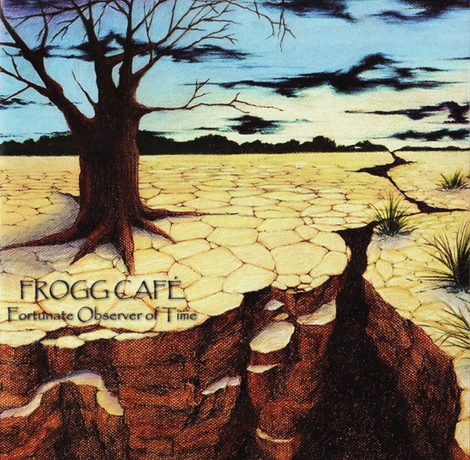 FROGG CAFE Fortunate Observer 2005 США ЧАСТНЫЙ ПРОГ CD KANSAS RUSH DIXIE DREGS - Изображение 1 из 4