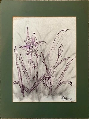 Iris de Pam Harris - Pluma y pastel Foto 1 de 3