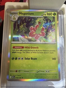Meganium 010/132 - Bild 1 von 2