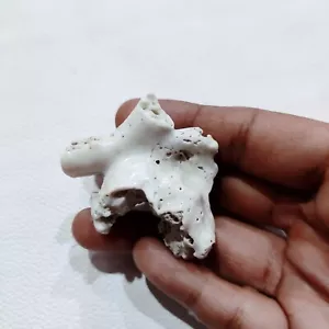Vintage Coral Polished Rough Loose Gemstone Natural Japanese White Coral Rough - Picture 1 of 18