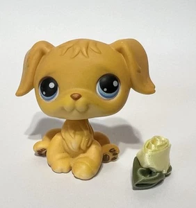 Littlest Pet Shop Singles #21 Retriever Dog - Picture 1 of 5