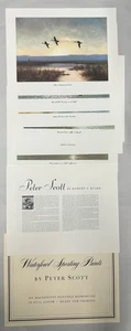 Set "6" Vintage Wasservögel Sport Drucke von Peter Scott Robert Ruark (A15) - Bild 1 von 9