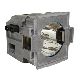 Lámpara y carcasa para proyector DML-1200 - 1 año de garantía - Imagen 1 de 5