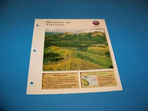 Fotos/página de información de la vida silvestre de Viti Levu 1998 - Imagen 1 de 3