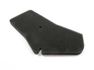 Luftfilter Athena S410210200014 Honda SFX 50 AF37 SRX Shadow AF42 SXR MM SFX50 - Bild 1 von 2