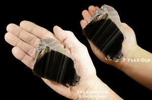 RAYA GRIS OBSIDIANA 3 1/2" 13-15 OZ Davis Creek cabina lapidaria mineral de roca áspera - Imagen 1 de 5