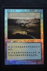 Magic The Gathering MTG TAINTED FIELD FOIL S-CHINESE Torment LP Lightly Played - Picture 1 of 2