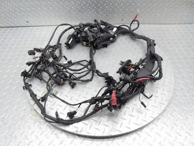 BMW R1200GS 2013 13-16 Adventure motor principal cableado arnés telar cable fabricante de equipos originales Foto 1 de 4